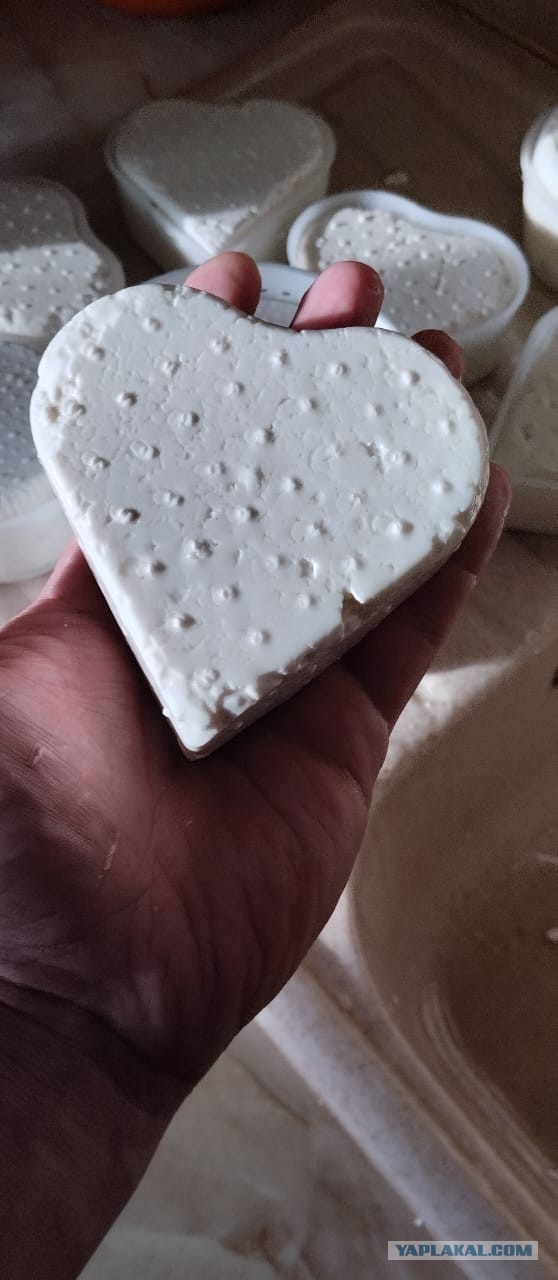 Варим качотту дома. Самый простой рецепт