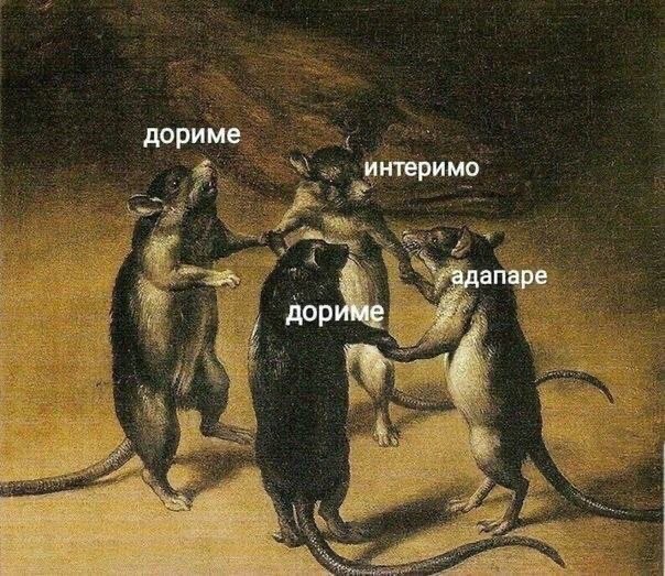 Поляки, что то подозревают.