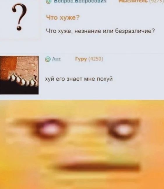 Приколы с налетом деградации