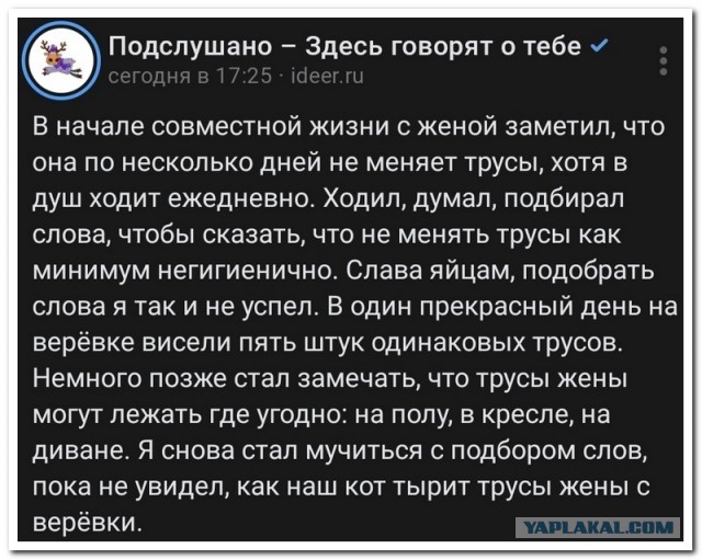 Забавные комментарии из социальных сетей (15.01.24)