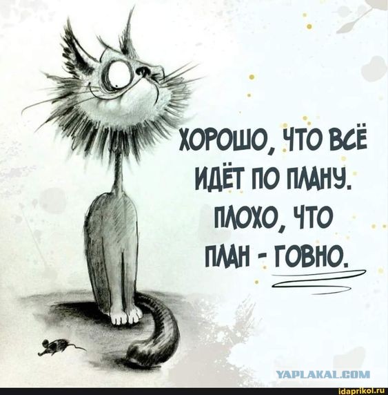 Всего зарегистрировано 4 кандидата