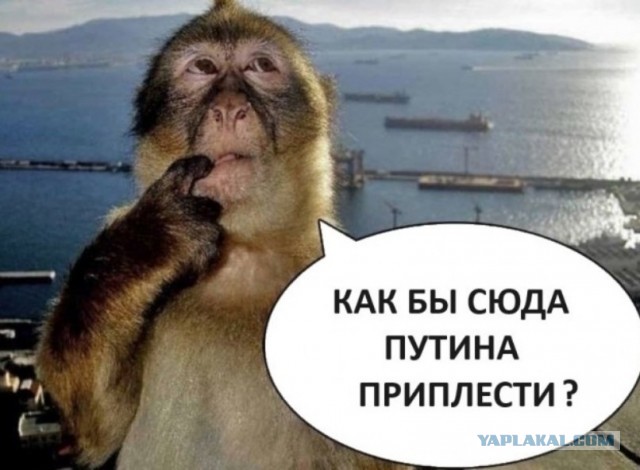 Канада отказала России в выдаче бывшего эсэсовца Гунько, сообщил источник