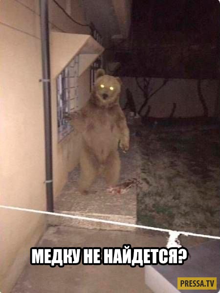 Какие-нибудь картинки