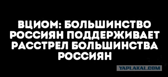 ВЦИОМ: уровень доверия россиян Путину превышает 79%