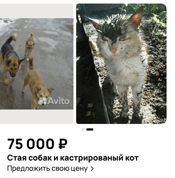 Всего понемногу. От 07.04.2024