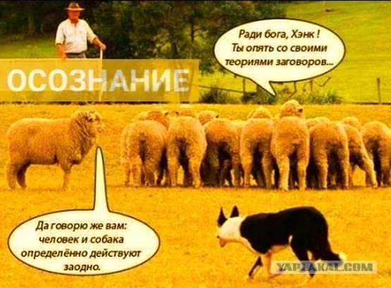 Зажрались? «Роснефть» — в Самару, РЖД — в Читу: Хитрый план Путина по переселению госкорпораций