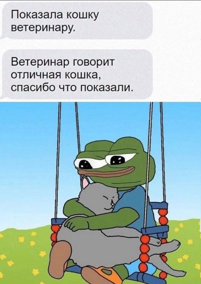 Весёлый полтишок 05.08.24