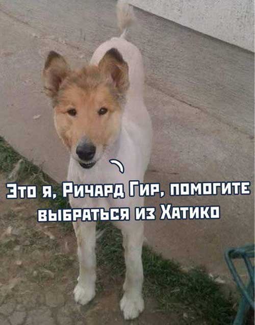 Завалялось тут случайно немного забавных картинок
