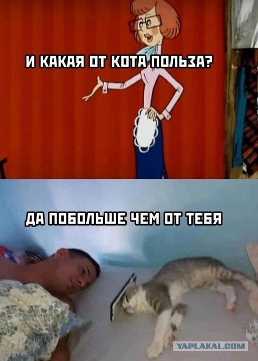 Забавные картинки, шутки из этих ваших интернетов