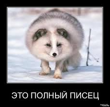 Мадуро глаголет.