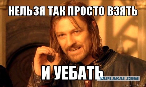 Леночка - верблюд или культура парковки