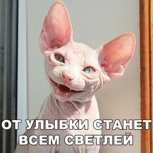 Веселые картинки в понедельник (19.01)