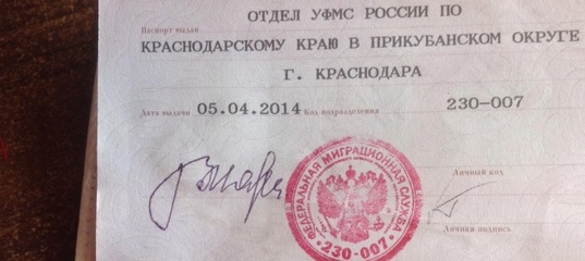 Чел случайно раскрыл секрет российского паспорта камерой смартфона