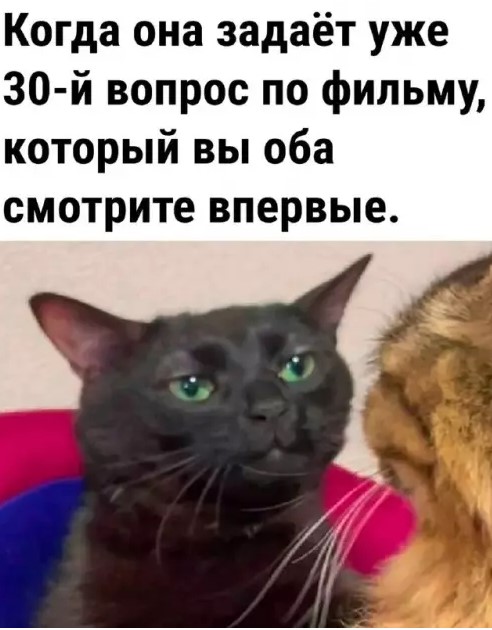 Котямбосы