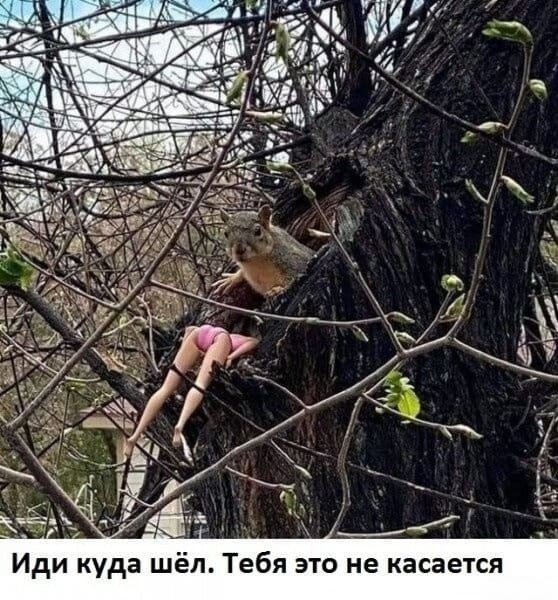 А Сова-то ненастоящий (шутка-юмора)!