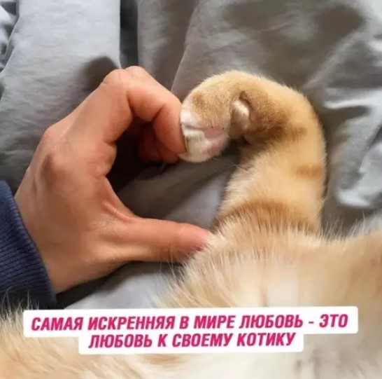 Субботние картинки