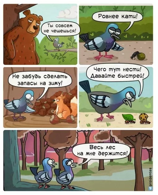 Картиночки, баянчики 16 мая