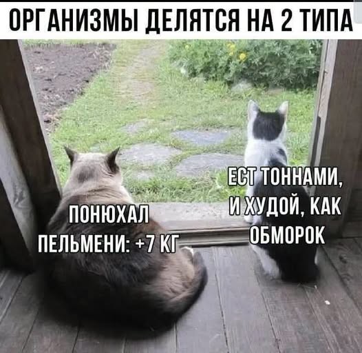 Картинки на среду