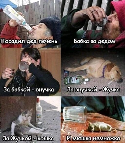 Картинки для деградации 277 (разной степени свежести)