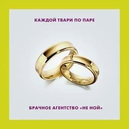 Проект НЕ НОЙ | История Насти