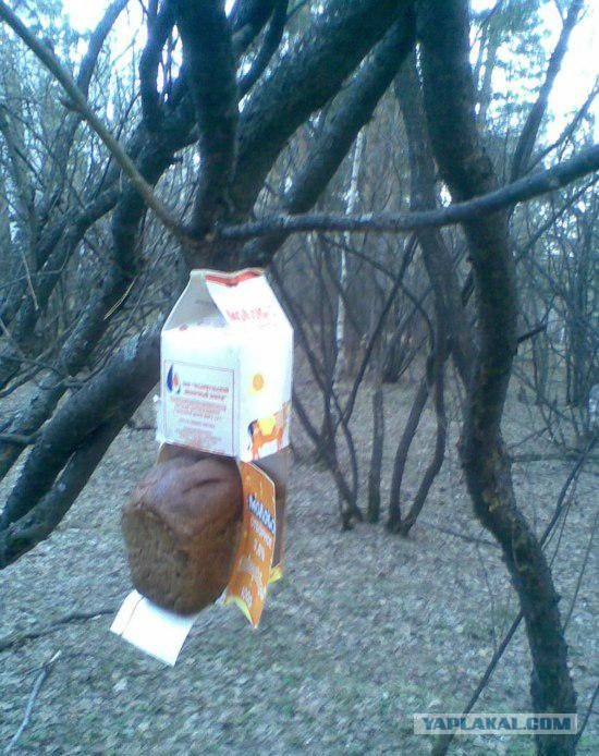 Мы живём в самой прекрасной стране на свете...
