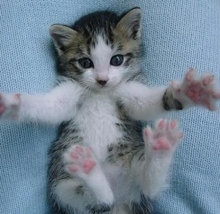 Про тактильность.