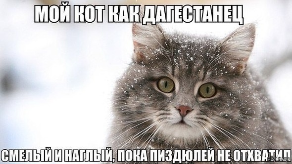 Кавказцы Югры обвиняют власть в фашизме