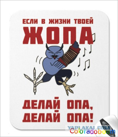 Трудовые будни сервиса.
