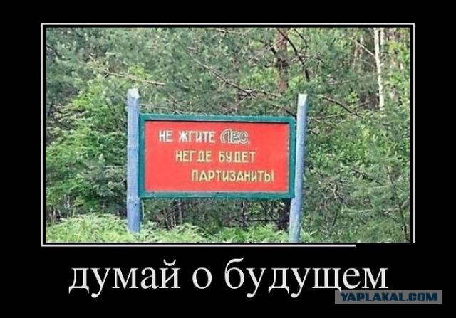 С миру по нитке. Демотиваторов чуть