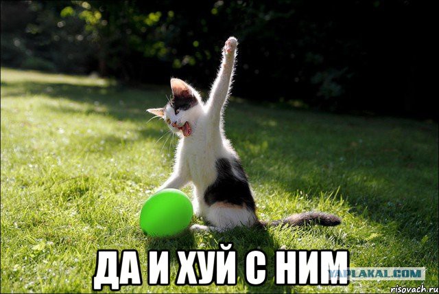 Смертельный номер Гей-активиста - 2