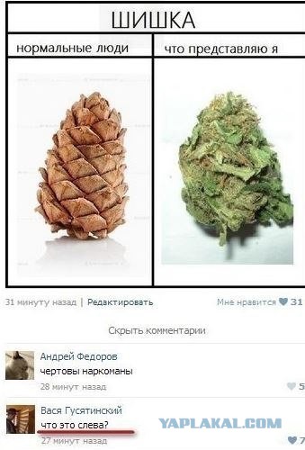 Смешные комментарии из социальных сетей
