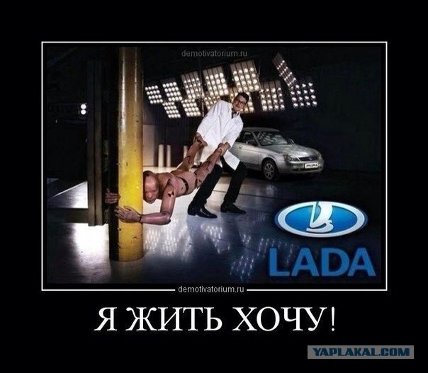 Подборка веселых картинок