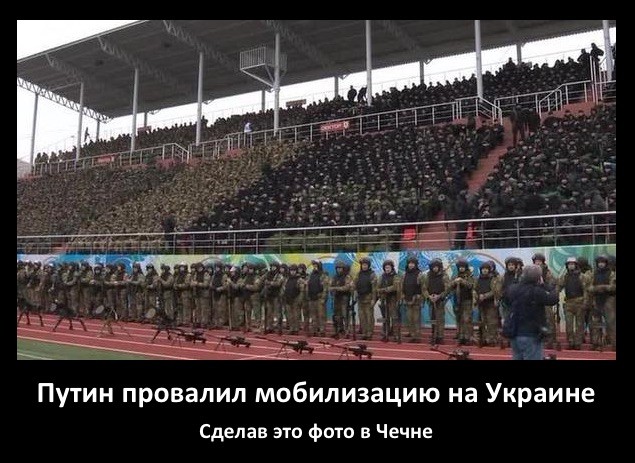 Чеченское лекарство для Киева