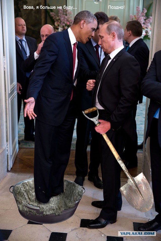 Одна жаба