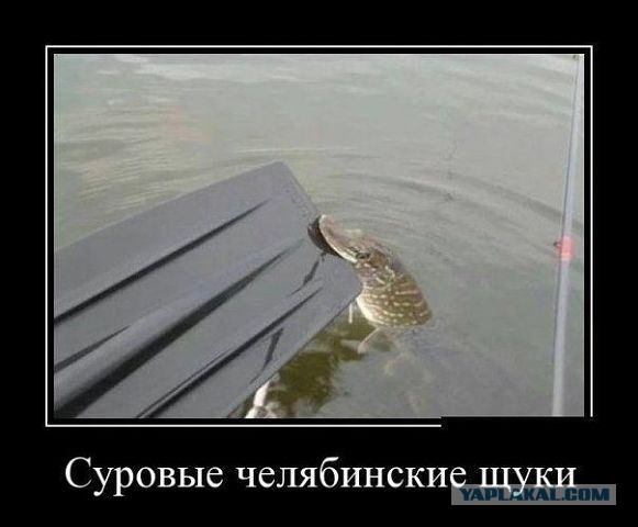 Весёлое из сети