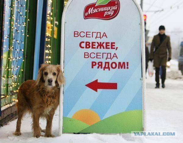 Немного картинок из сети