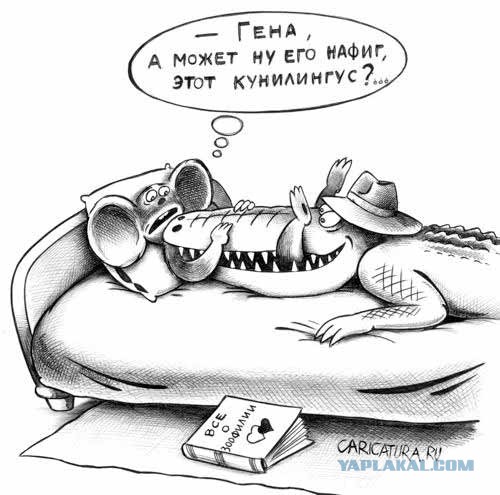 Подборка картинок.