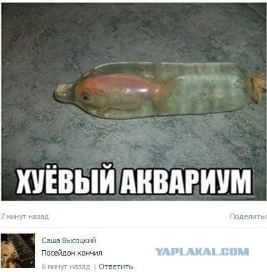 Картинки из сети на среду