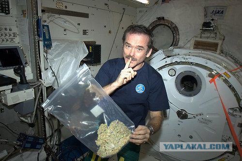 Космонавты, которые видели НЛО