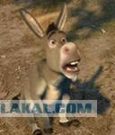 Добрый человек