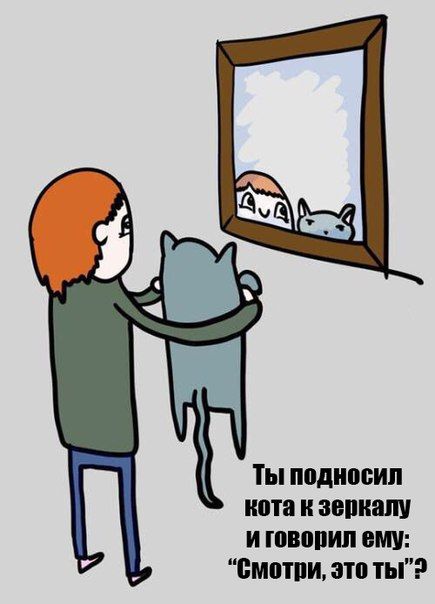 Картинки разные