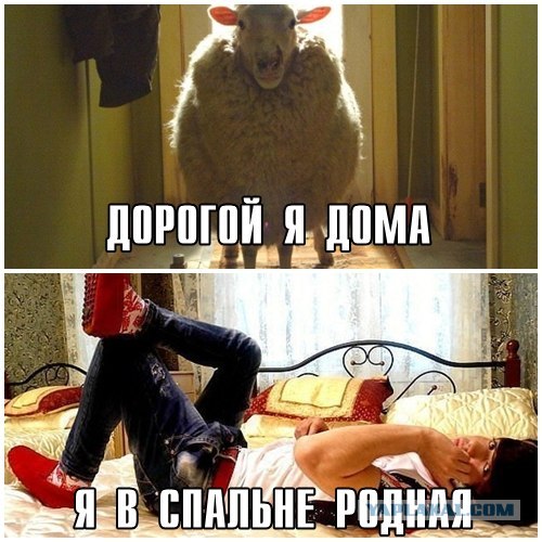 Жарим своих девочек