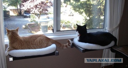 Домик для котейки