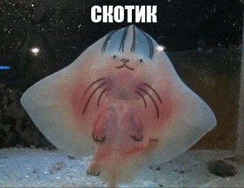 Загадочный предмет