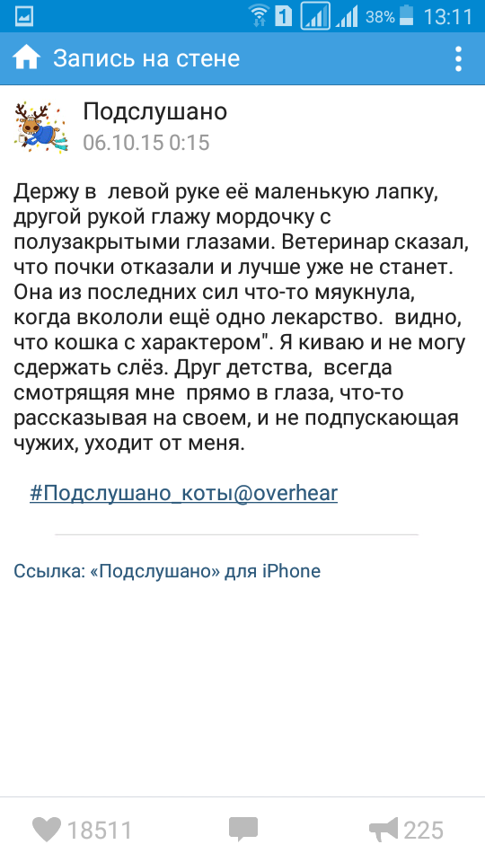 Подслушано вещает