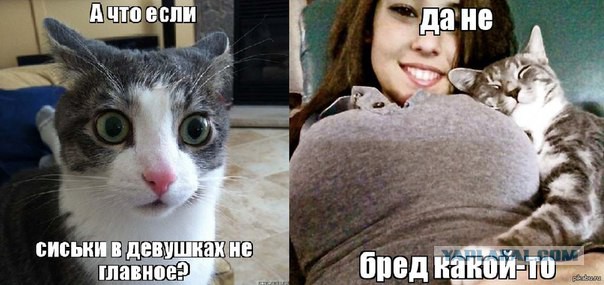 Смешные комментарии из соц.сетей 09.11.15