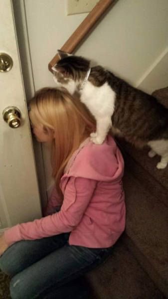 Картинки на субботу