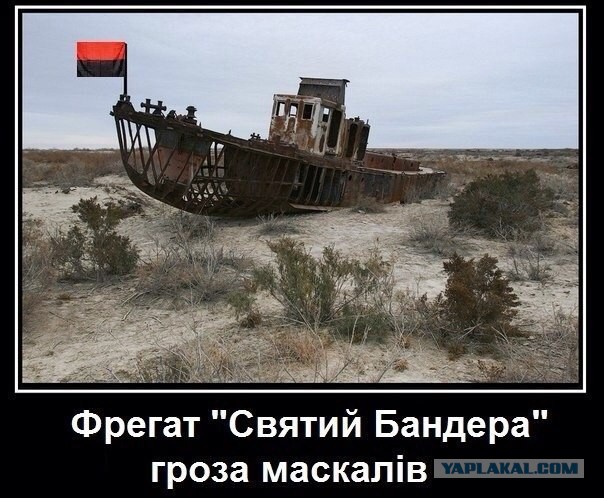 Новый самолет от "Антонова" назовут Бандера