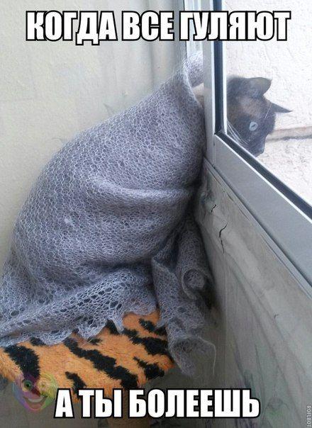 А давайте улыбнёмся