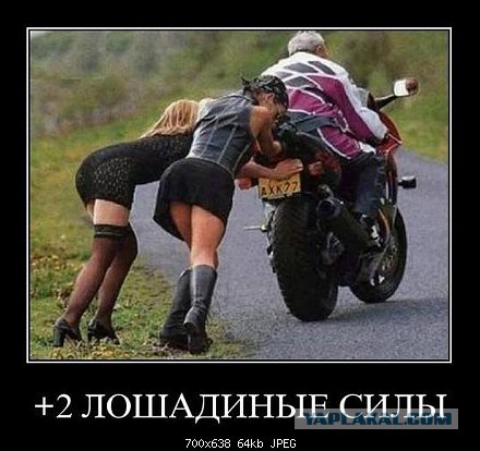 Демотиваторы на пятницу!
